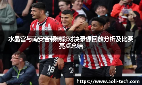 水晶宫与南安普顿精彩对决录像回放分析及比赛亮点总结