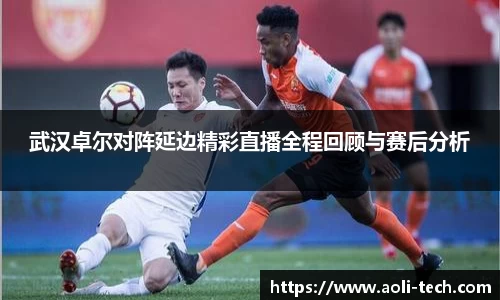 武汉卓尔对阵延边精彩直播全程回顾与赛后分析
