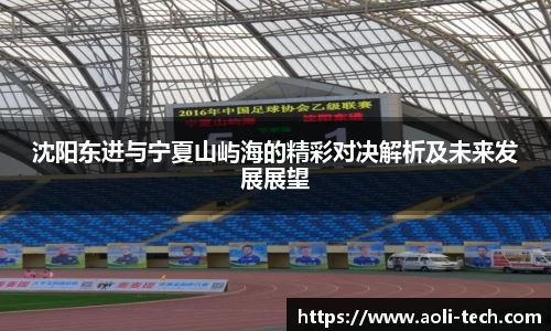 沈阳东进与宁夏山屿海的精彩对决解析及未来发展展望